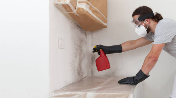 Professional Mold Remediation technician working in Clear Brook, VA