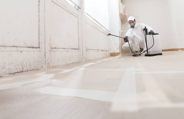 24/7 Emergency Mold Remediation experts in Clear Brook, VA
