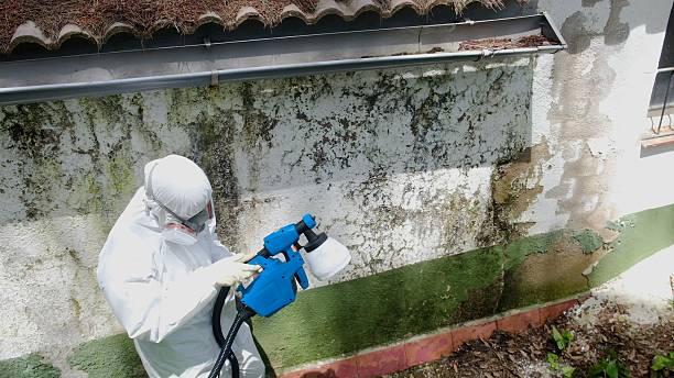 Top rated local Mold Remediation specialists in Clear Brook, VA